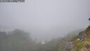 ./images/calvert/foggy-cove/20260624/foggy-cove20260624_150501M.jpg