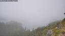 ./images/calvert/foggy-cove/20260624/foggy-cove20260624_151001M.jpg