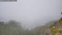 ./images/calvert/foggy-cove/20260624/foggy-cove20260624_152001M.jpg
