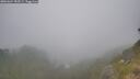./images/calvert/foggy-cove/20260624/foggy-cove20260624_153501M.jpg