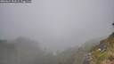 ./images/calvert/foggy-cove/20260624/foggy-cove20260624_154502M.jpg