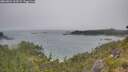 ./images/calvert/foggy-cove/20260624/foggy-cove20260624_163501M.jpg