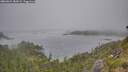 ./images/calvert/foggy-cove/20260624/foggy-cove20260624_182001M.jpg