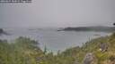 ./images/calvert/foggy-cove/20260624/foggy-cove20260624_184501M.jpg