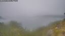 ./images/calvert/foggy-cove/20260624/foggy-cove20260624_203001M.jpg