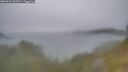 ./images/calvert/foggy-cove/20260624/foggy-cove20260624_205002M.jpg