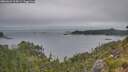 ./images/calvert/foggy-cove/20260624/foggy-cove20260624_214501M.jpg