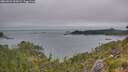 ./images/calvert/foggy-cove/20260624/foggy-cove20260624_215001M.jpg