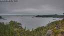 ./images/calvert/foggy-cove/20260624/foggy-cove20260624_220001M.jpg