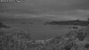 ./images/calvert/foggy-cove/20260625/foggy-cove20260625_043501M.jpg