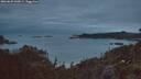 ./images/calvert/foggy-cove/20260625/foggy-cove20260625_044501M.jpg