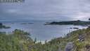./images/calvert/foggy-cove/20260625/foggy-cove20260625_052001M.jpg