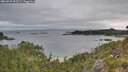 ./images/calvert/foggy-cove/20260625/foggy-cove20260625_053501M.jpg