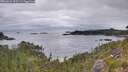 ./images/calvert/foggy-cove/20260625/foggy-cove20260625_055501M.jpg