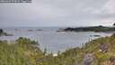 ./images/calvert/foggy-cove/20260625/foggy-cove20260625_073001M.jpg
