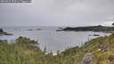 ./images/calvert/foggy-cove/20260625/foggy-cove20260625_074501M.jpg