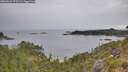 ./images/calvert/foggy-cove/20260625/foggy-cove20260625_075501M.jpg