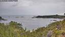./images/calvert/foggy-cove/20260625/foggy-cove20260625_080501M.jpg