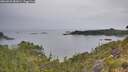 ./images/calvert/foggy-cove/20260625/foggy-cove20260625_082001M.jpg
