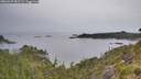 ./images/calvert/foggy-cove/20260625/foggy-cove20260625_082501M.jpg