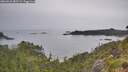 ./images/calvert/foggy-cove/20260625/foggy-cove20260625_083502M.jpg