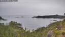 ./images/calvert/foggy-cove/20260625/foggy-cove20260625_084001M.jpg