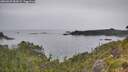 ./images/calvert/foggy-cove/20260625/foggy-cove20260625_084502M.jpg