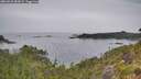 ./images/calvert/foggy-cove/20260625/foggy-cove20260625_085001M.jpg
