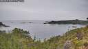 ./images/calvert/foggy-cove/20260625/foggy-cove20260625_085501M.jpg