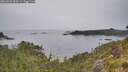 ./images/calvert/foggy-cove/20260625/foggy-cove20260625_090501M.jpg