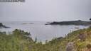 ./images/calvert/foggy-cove/20260625/foggy-cove20260625_091001M.jpg