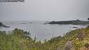./images/calvert/foggy-cove/20260625/foggy-cove20260625_091501M.jpg