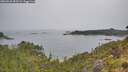 ./images/calvert/foggy-cove/20260625/foggy-cove20260625_092501M.jpg