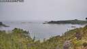 ./images/calvert/foggy-cove/20260625/foggy-cove20260625_093002M.jpg