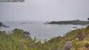 ./images/calvert/foggy-cove/20260625/foggy-cove20260625_093501M.jpg