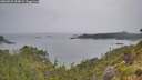 ./images/calvert/foggy-cove/20260625/foggy-cove20260625_094001M.jpg