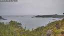 ./images/calvert/foggy-cove/20260625/foggy-cove20260625_094501M.jpg