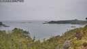./images/calvert/foggy-cove/20260625/foggy-cove20260625_095001M.jpg