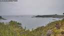 ./images/calvert/foggy-cove/20260625/foggy-cove20260625_095501M.jpg