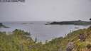 ./images/calvert/foggy-cove/20260625/foggy-cove20260625_100501M.jpg