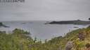 ./images/calvert/foggy-cove/20260625/foggy-cove20260625_103001M.jpg