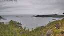 ./images/calvert/foggy-cove/20260625/foggy-cove20260625_104501M.jpg