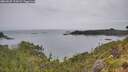 ./images/calvert/foggy-cove/20260625/foggy-cove20260625_111002M.jpg