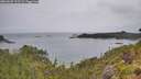 ./images/calvert/foggy-cove/20260625/foggy-cove20260625_111501M.jpg