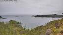 ./images/calvert/foggy-cove/20260625/foggy-cove20260625_112001M.jpg