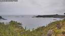 ./images/calvert/foggy-cove/20260625/foggy-cove20260625_112501M.jpg