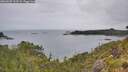 ./images/calvert/foggy-cove/20260625/foggy-cove20260625_113501M.jpg