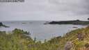 ./images/calvert/foggy-cove/20260625/foggy-cove20260625_114001M.jpg