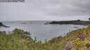 ./images/calvert/foggy-cove/20260625/foggy-cove20260625_114501M.jpg