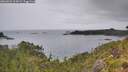 ./images/calvert/foggy-cove/20260625/foggy-cove20260625_115001M.jpg